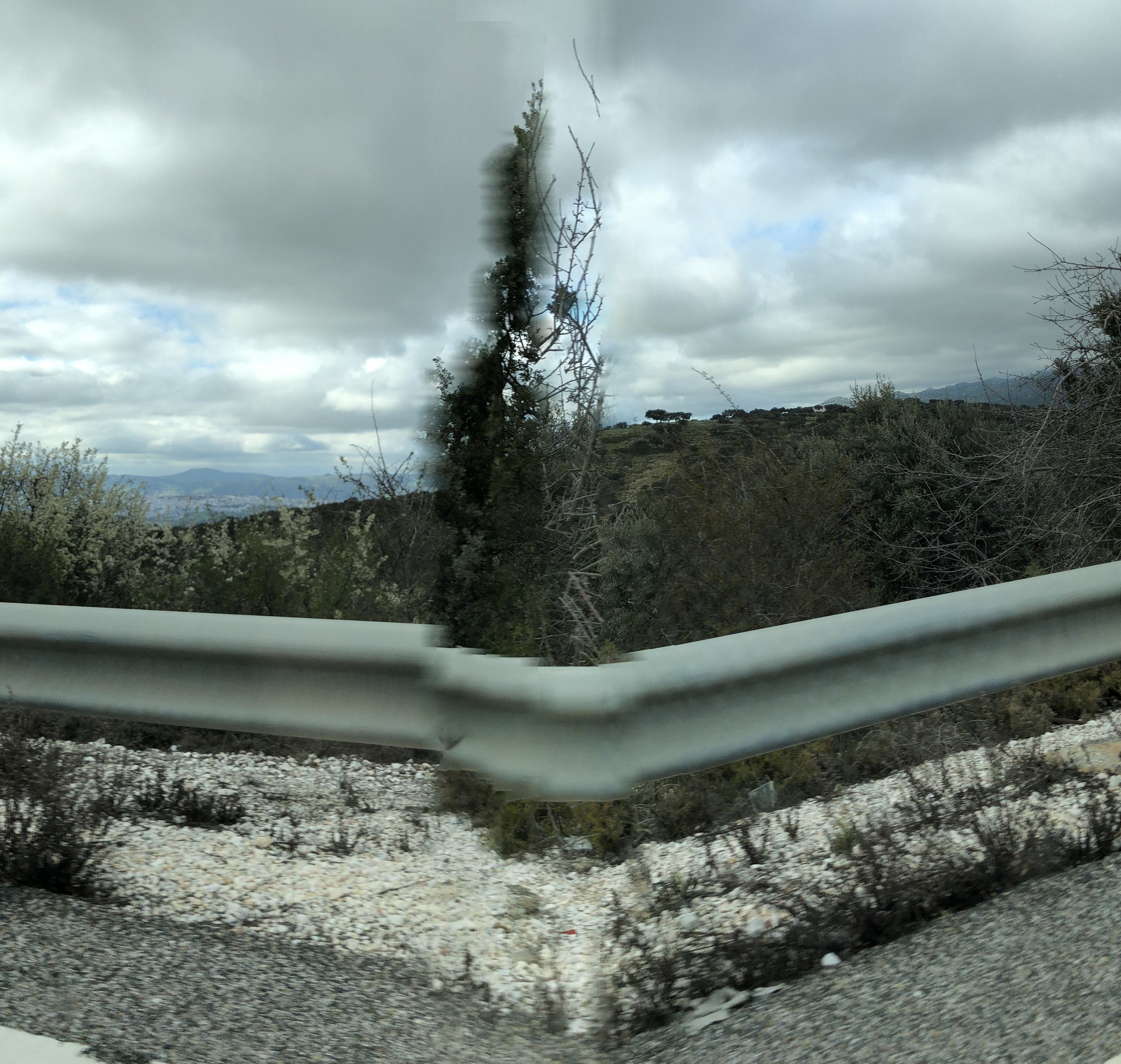 A guardrail's chevron flashes past the car window under heavy cloud
