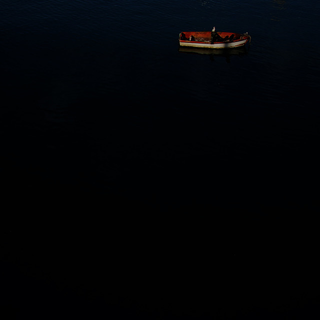 A small red and white boat rides black water, a gull at its bow, cormorants along the gunwale