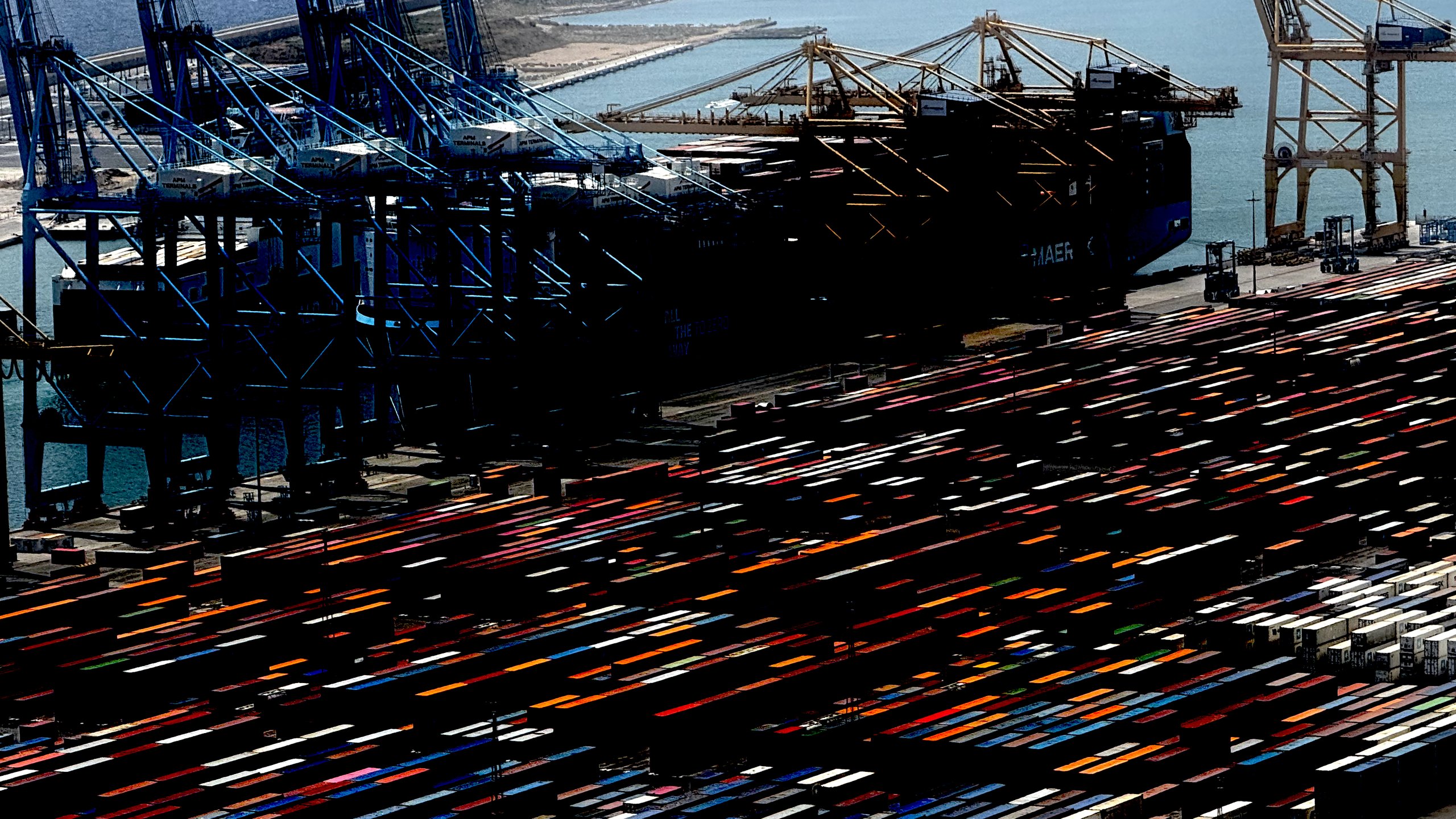 Container ranks and gantry cranes in hard light at the port
