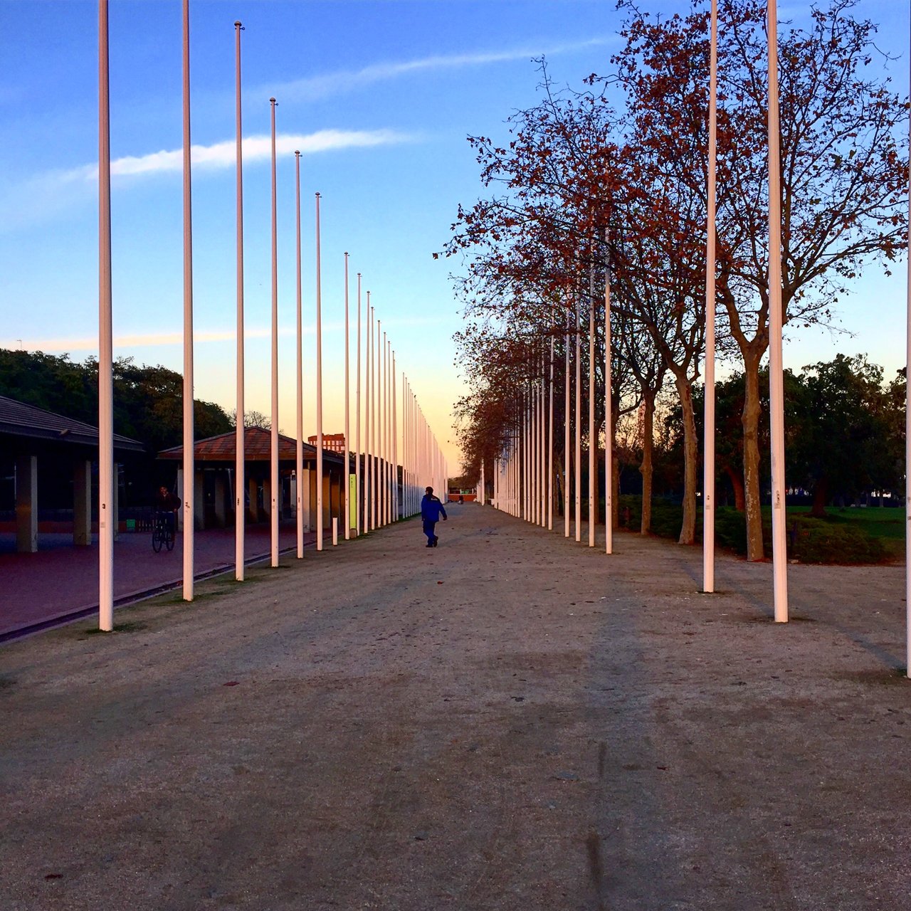 Row of tall poles receding along a promenade at dusk, red autumn trees