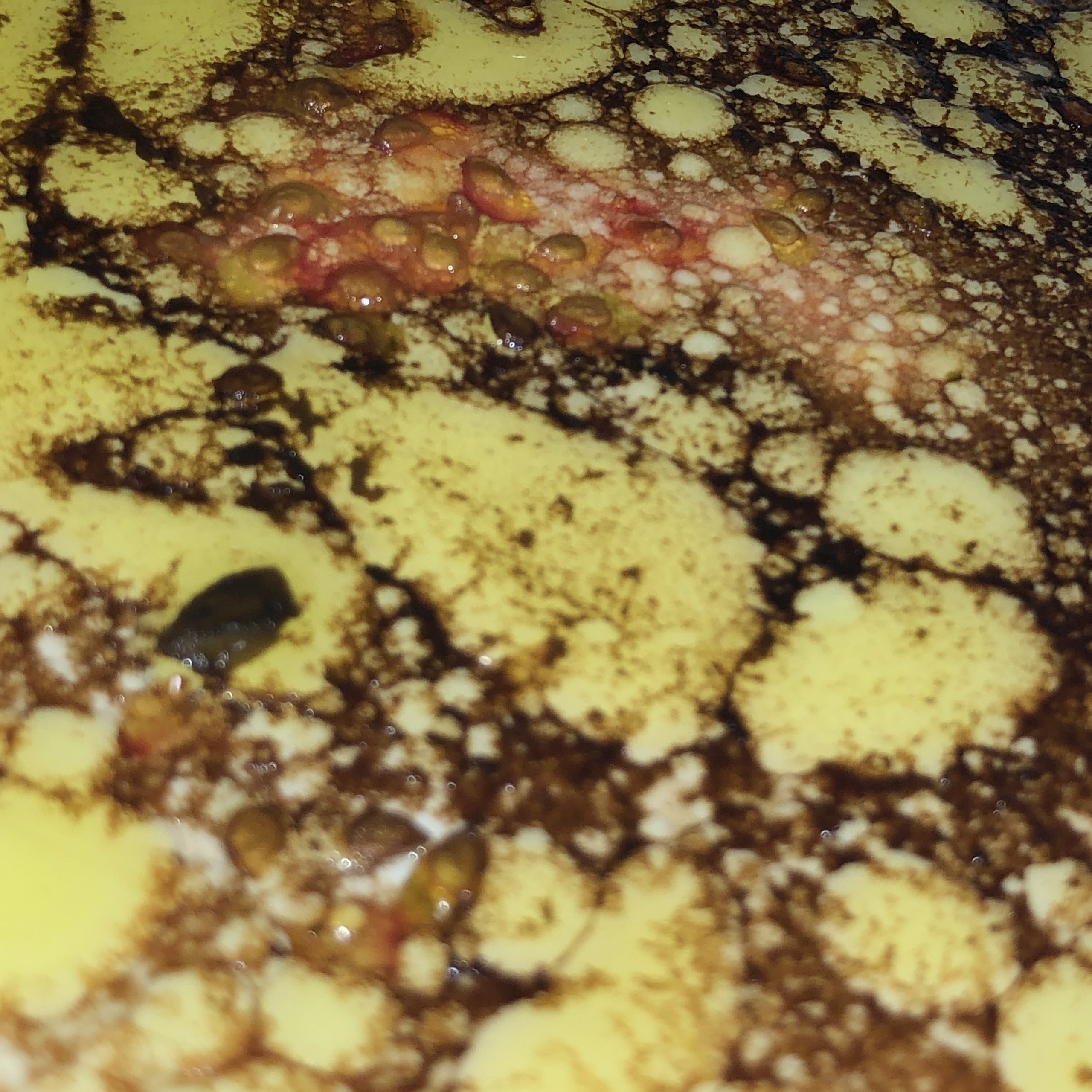 Butter sizzles through lacework batter in the pan