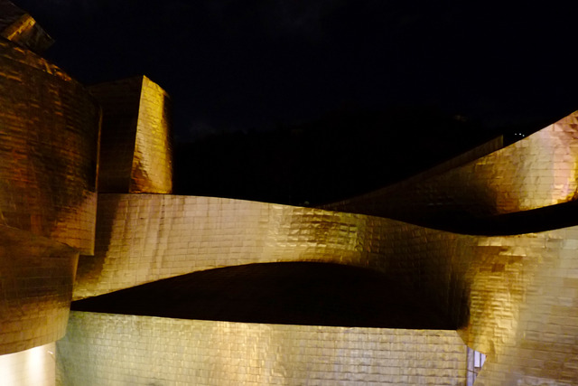 Floodlit titanium curves fold over one another against a black night sky