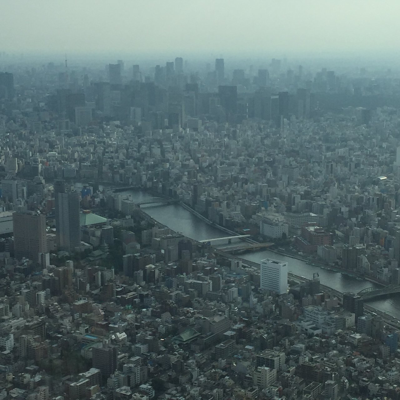 Vast Tokyo cityscape from height, river curving through haze