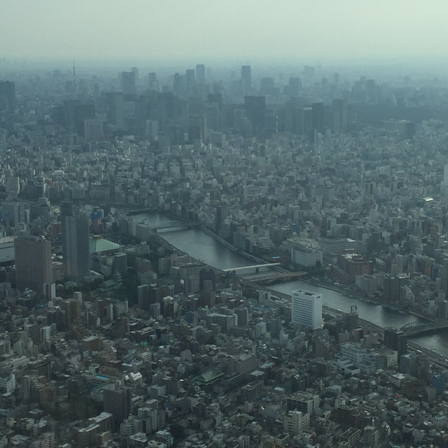 Vast Tokyo cityscape from height, river curving through haze