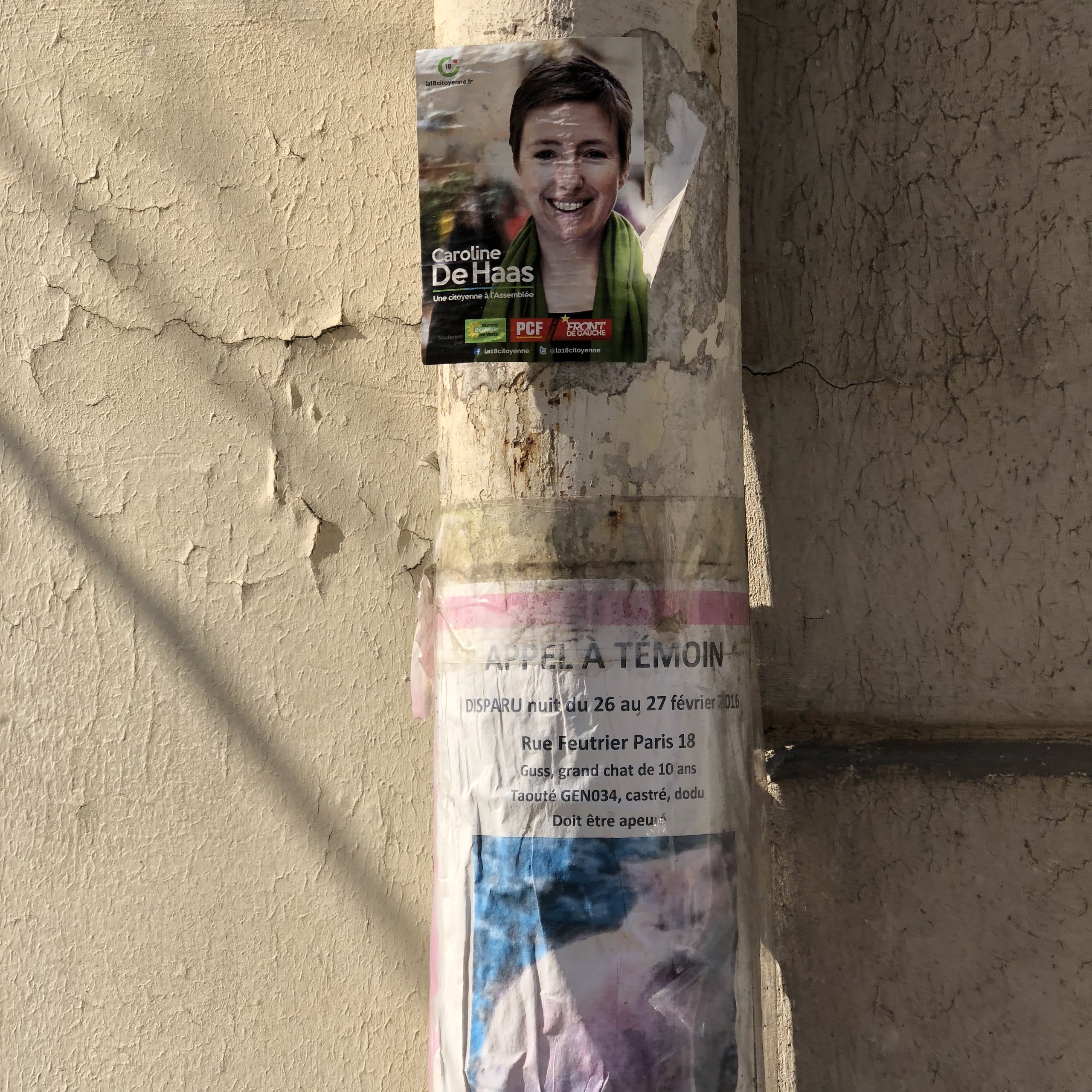 Election flyer and a lost-cat appeal layered on a Paris pole