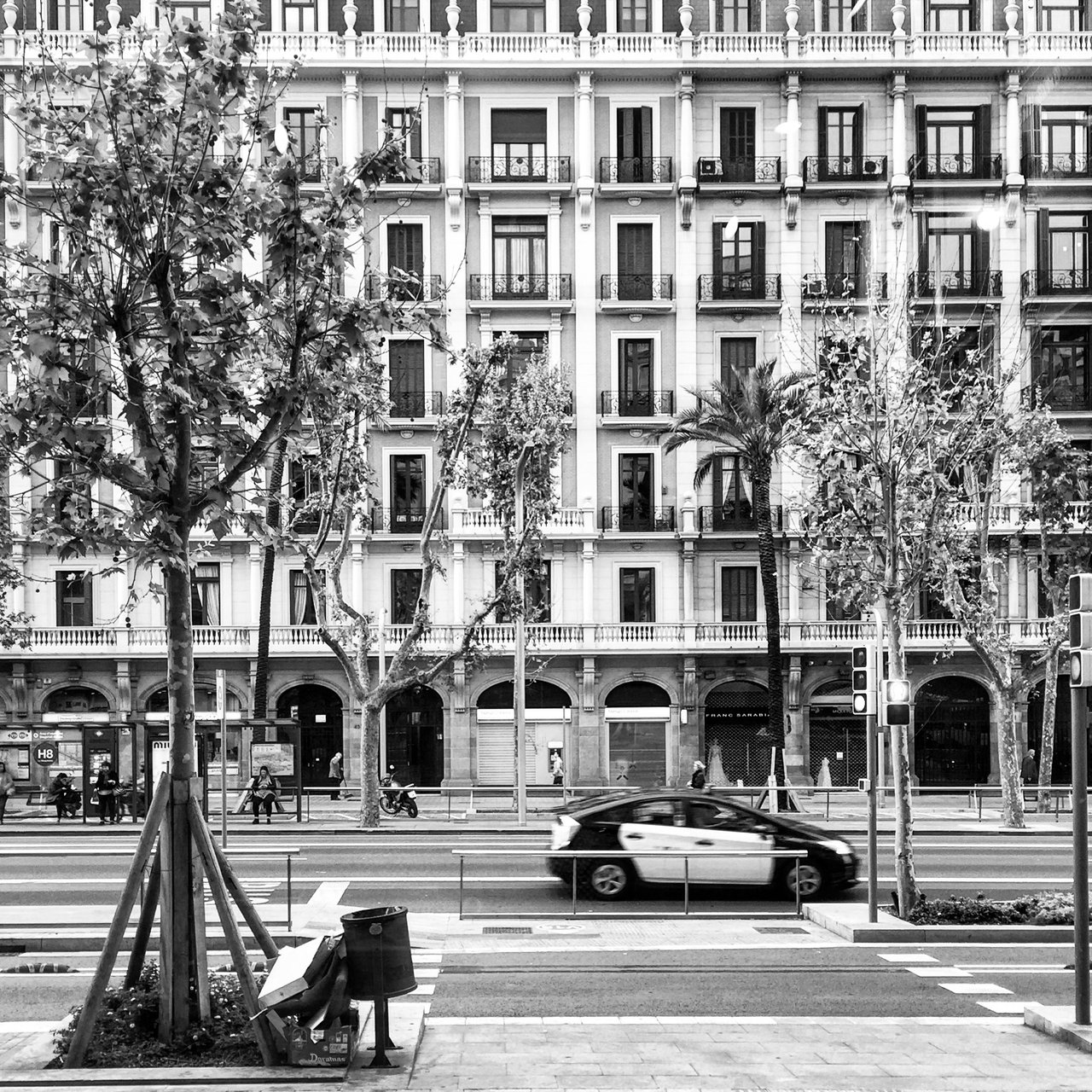 Ornate apartment façade behind bare plane trees, monochrome, a car passing